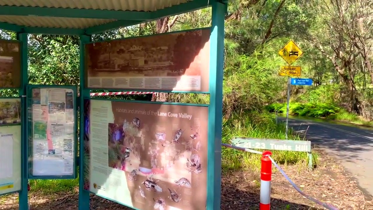 Sydney Weekend: Lane Cove National Park