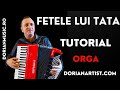 Fetele lui Tata - Keyboard & Accordion Tutorial | Step by Step Easy Guide