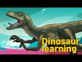 Dinosaur velociraptor Collection | What is this dinosaur? | carnivorous dinosaur velociraptor | 공룡