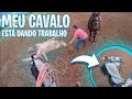 MEU CAVALO ESTÁ DANDO MUITO TRABALHO, COM CORDA NOVA.