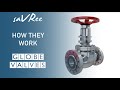 How Globe Valves Work