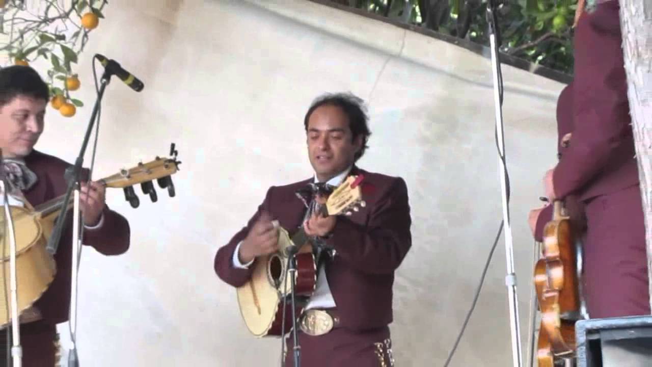 El  cascabel Mariachi  Juvenil Tecalitlan