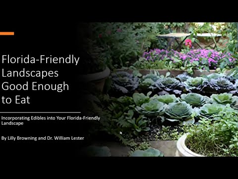 Can An Hoa Prevent Florida Friendly Landscape?
