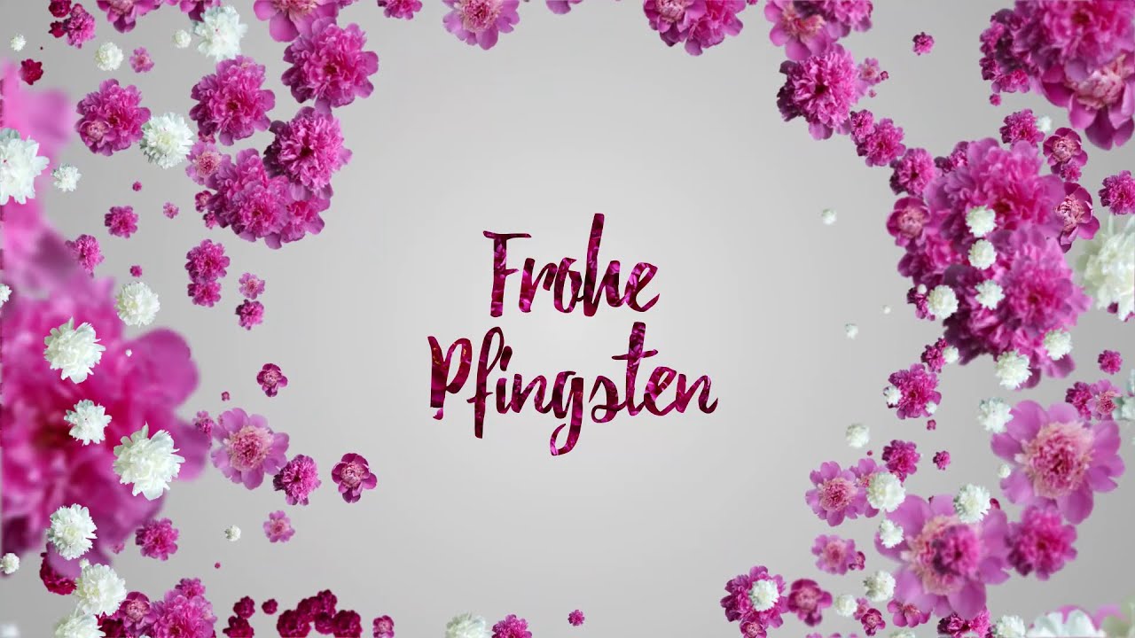 Pfingstgrüße🌹☘🌹