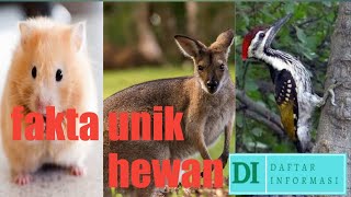 Hewan liar !! Keunikan hewan !!! Fakta unik hewan