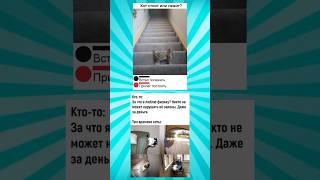 Мемасики про котиков часть 337 #meme #funny #shorts