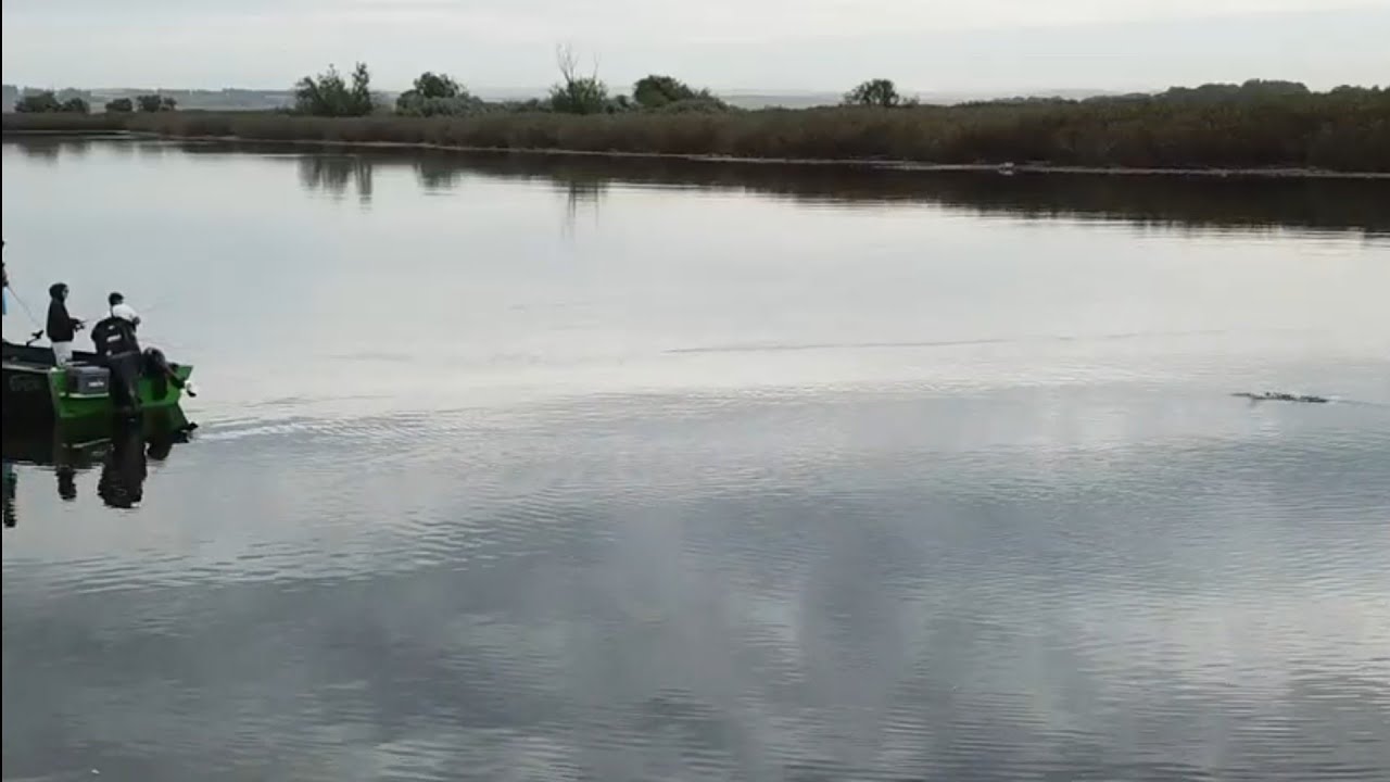 Top Water Smallmouth Bass Fishing CAUGHT ON DRONE!! YouTube