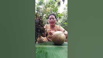 chia sẽ bí quyết sử dụng cây thuốc dòi