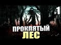 ПРОКЛЯТЫЙ ЛЕС. НОВАЯ ХОРРОР ИГРА! - Прохождение The Cursed Forest - #1