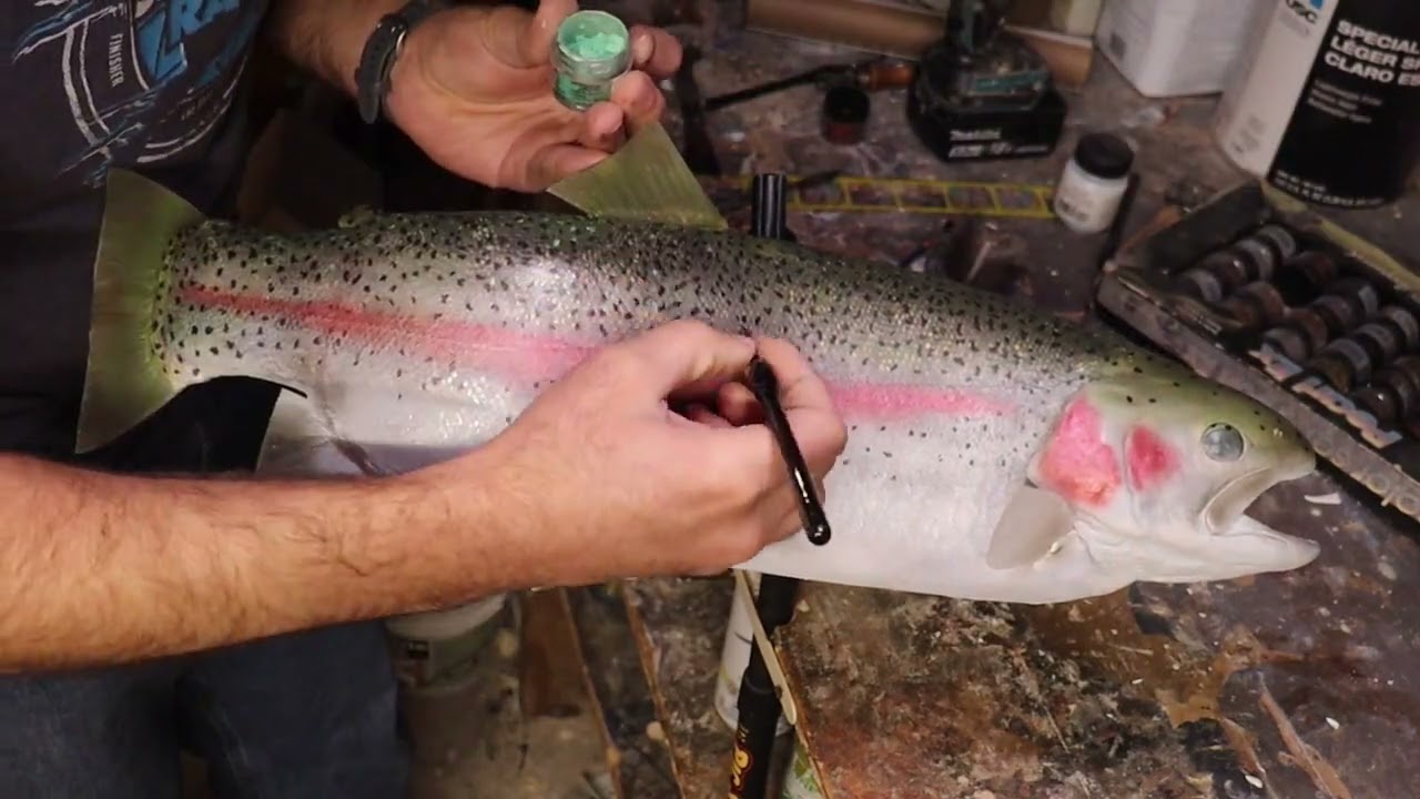 Fish Taxidermy: Rainbow Trout Painting Time Lapse