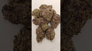🔥Double Purple Doja🔥 Cannabis strain review/W Dr. Greenbody