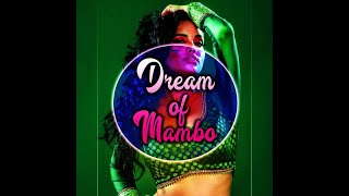 Top Compilation - Dream of mambo (video ufficiale)