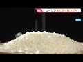 【独自】ローソン　おにぎり値下げへ　9月29日から手巻きおにぎり一律10円値下げ　コメ価格下落の影響が小売り現場に｜TBS NEWS DIG