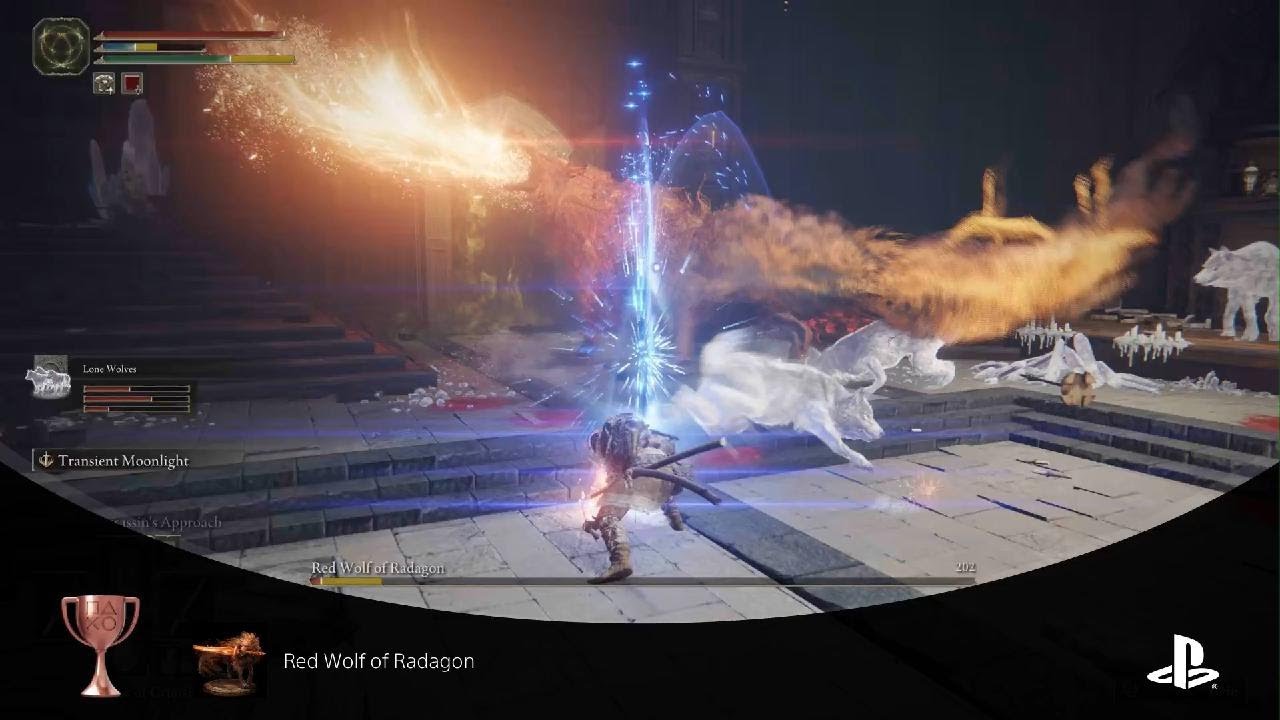 ELDEN RING_20230729052925