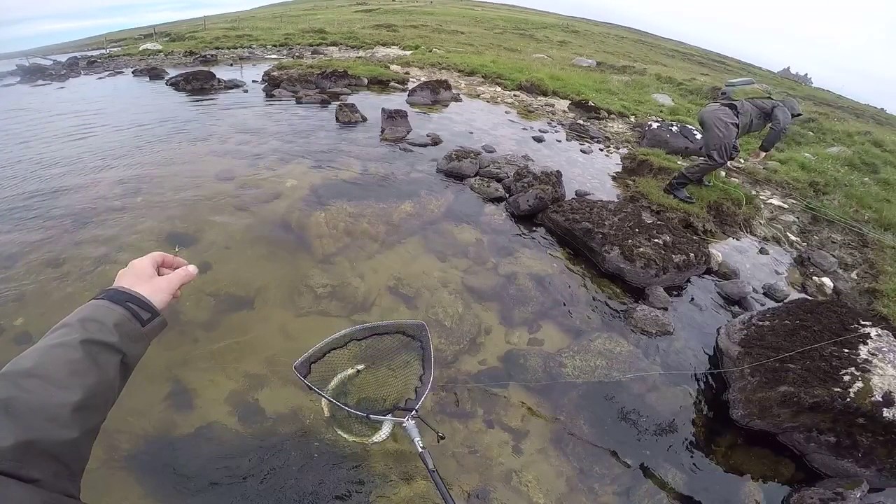 You've got 2 on!! Wild Brown Trout North Uist YouTube