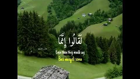 قرآن كريم بصوت هزاع البلوشي | حالات واتس اب دينية 🌸🌸🌿