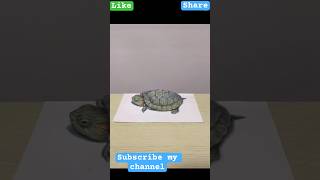 “Real or Drawing? 🐢 Unbelievable 3D Turtle Sketch That’ll Fool Your Eyes!” #shorts