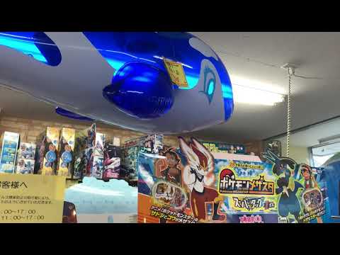 空ビ　訳ありシャチ