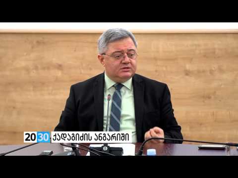 ქადაგიძის ანგარიში /2030 (01.02.2016.)/