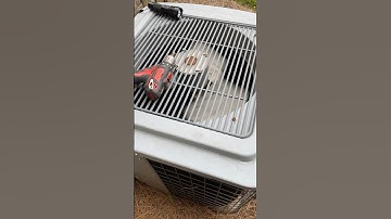 Scroll Compressor fails on camera! #hvacrepair #hvac