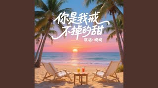 你是我戒不掉的甜（DJ版） - 晓晓
