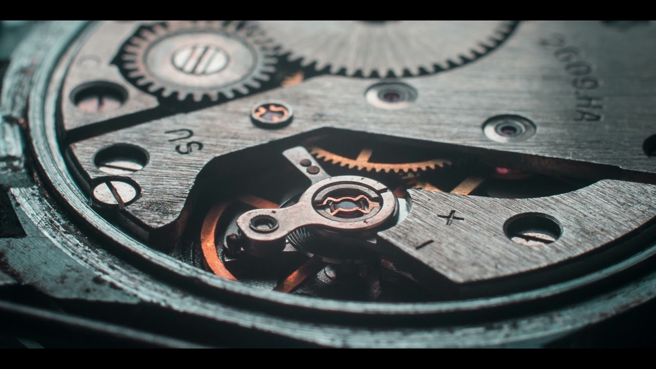 4K Macro Watch | Loop