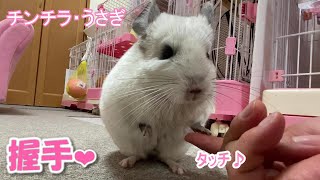 風船モコちゃんねるの最新動画 Youtubeランキング 風船モコちゃんねるの最新動画 Youtubeランキング