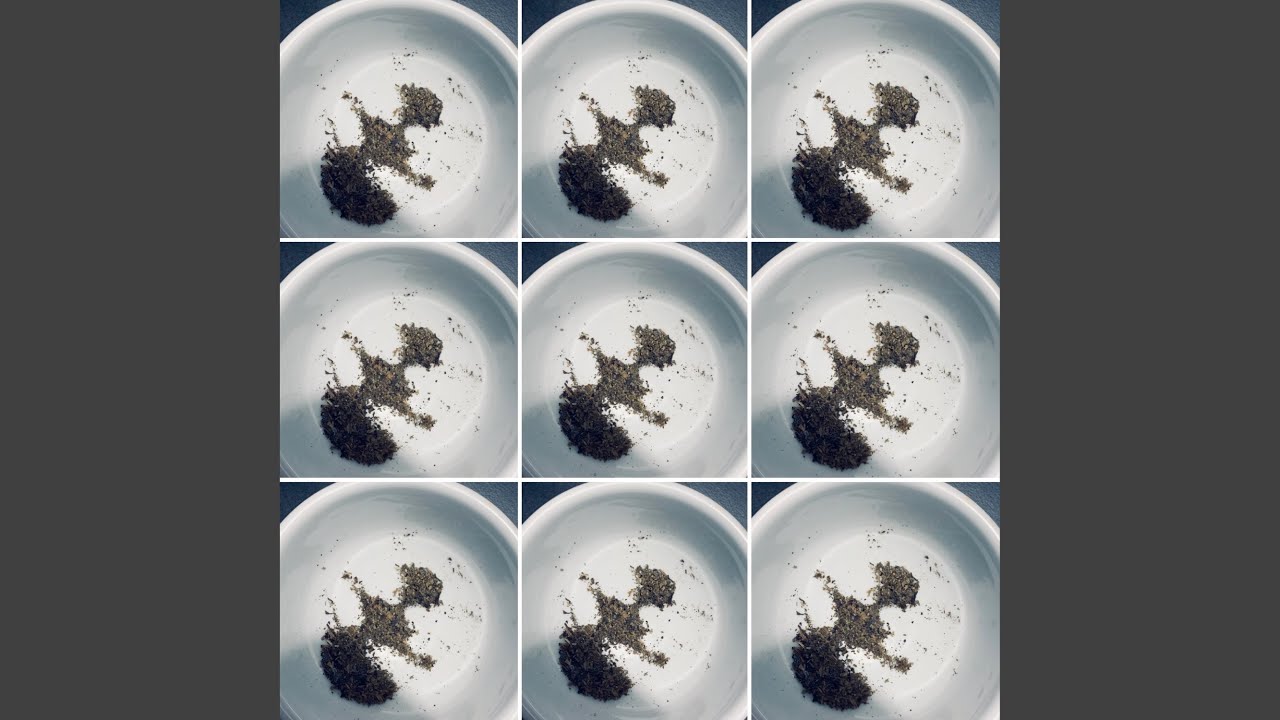 Sleduj 404 na YouTube Sleduj 404 na YouTube