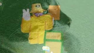 Las ideas más normales de un jugador de build a boat