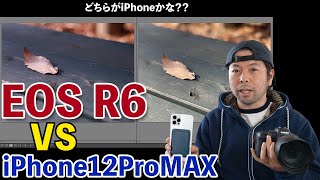 【カメラ】iPhone12ProMAXと一眼カメラEOS R6で写真を撮り比べしてみた！