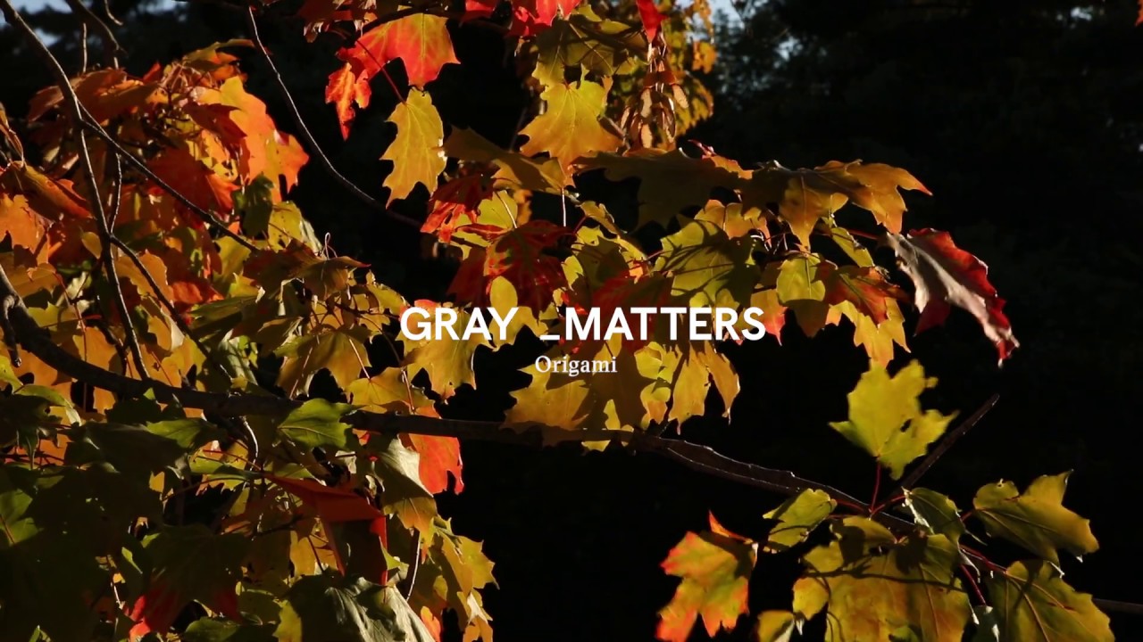 ASMR ORIGAMI - CHAPTER 1