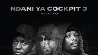Wakadinali -  Ndani ya cockpit 3