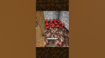 Minecraft nether wart