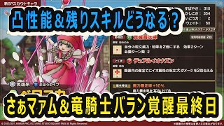 【ドラクエタクト]マァム&バランの覚醒チャンス最終日！攻略面など出来ることはサポートします配信