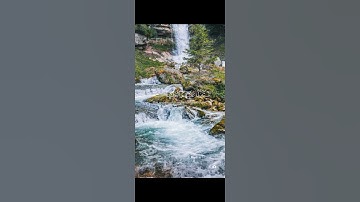 سورة فصلت {الآية 30} بصوت الشيخ مشاري العفاسي ❤️💖