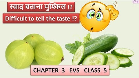 Class 5 EVS Chapter 3 | स्वाद पहचानना मुश्किल  | It