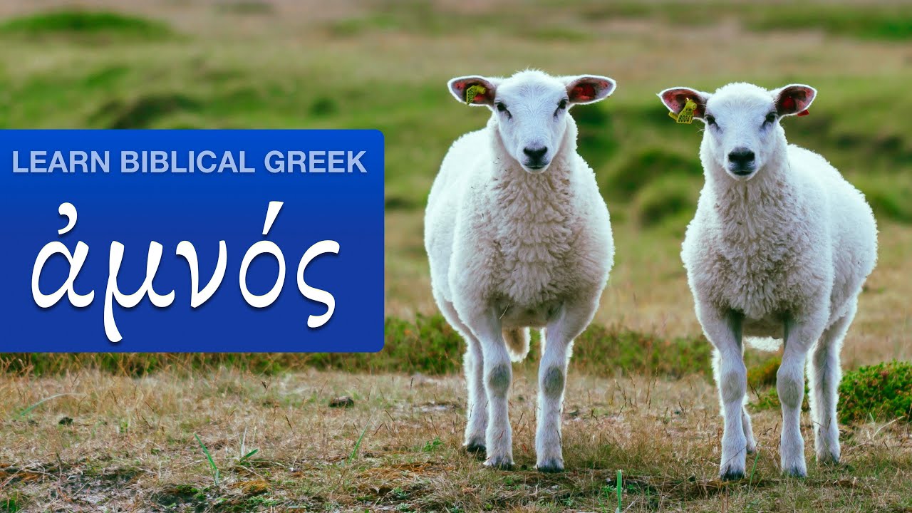 learn-biblical-greek-youtube