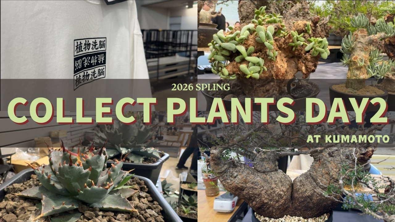 Special Guest] You won't believe who showed up for Collect Plants
