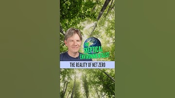The Reality of Net Zero