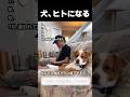 犬、ヒトになる