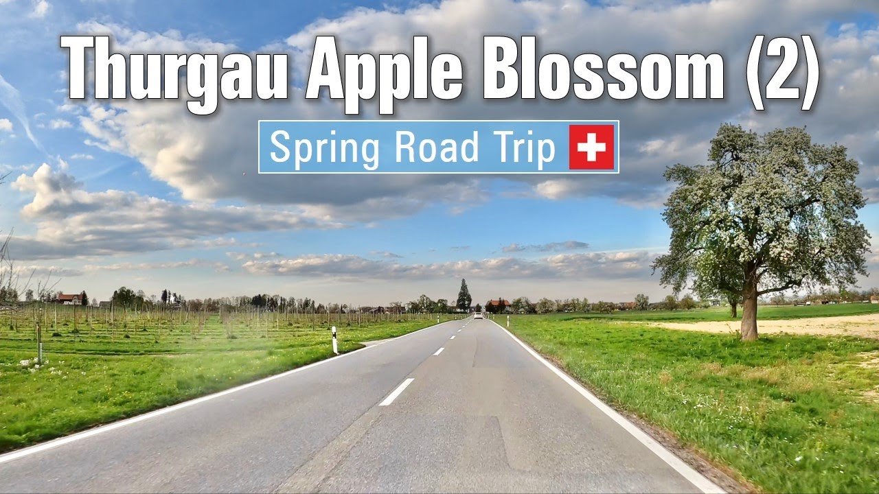 Spring in Switzerland 🇨🇭 Ep#7 • Road Trip through the Thurgau apple blossom landscape Pt. 2 🍎 [4K]