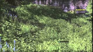 Cinematic horse mount fail!