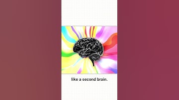 Gebruik de nieuwe ChatGPT(5) om websites te ontwerpen