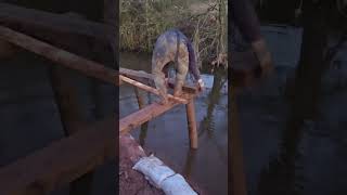 Castle drawbridge post knocking #castle #DiY #offgridliving #offgridlife #homestead