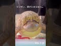 症状悪化、あれから2日後... #shorts