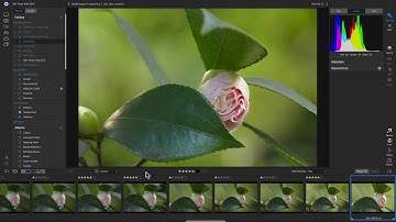 Importing & Organizing - ON1 Photo RAW 2020 Foundations Course Preview