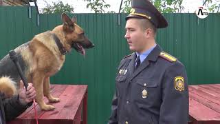 Лепель собака 17 10 17 Infograd Лепель собака 17 10 17 Infograd