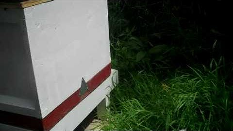 Process of swapping floors