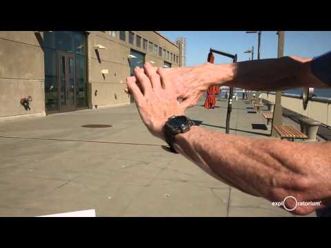DIY Sun Viewing | How to View an Eclipse | Exploratorium