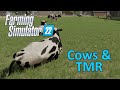 Farming Simulator 22 Tutorial | Cows & TMR (Total Mixed Ration)